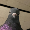 t0b7